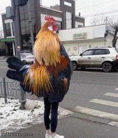 鸡爷图片,探寻网络红图的魅力所在